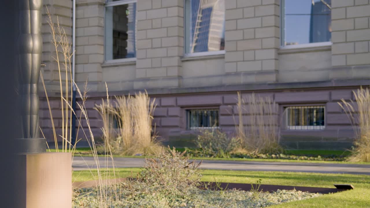 Lush green landscape with tall grasses near the Städel Museum in Frankfurt