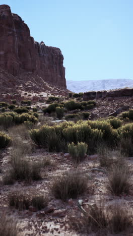 a desert canyon with red rock cliffs and blue sky