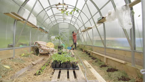 slider reveal wide shot of a woman working in her greenhouse, sweden