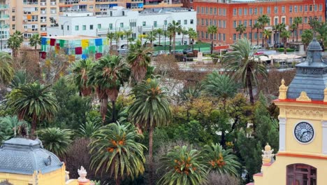 Malaga-Spain-palm-trees-and-tower-of-the-town-hall-marina-Mediterranean-Sea