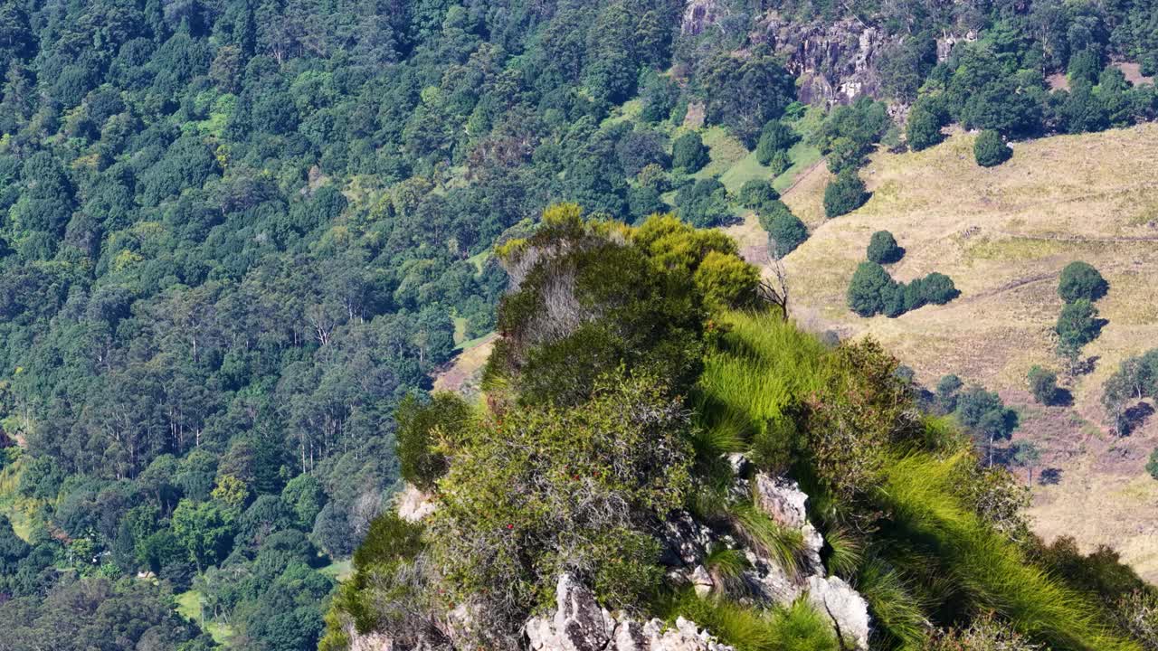 Drone footage captures Nimbin Rocks' rhyolite formations surrounded by eucalyptus forest and grasslands in Uki, NSW, Australia