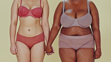 two women showcasing diverse body types in underwear