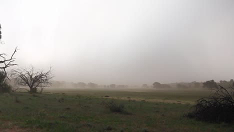 Clima-De-Verano-En-Kalahari:-Viento-Fuerte,-Tormenta-De-Arena-Y-Relámpagos