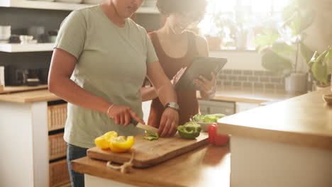 dos mujeres cocinando juntas en una cocina