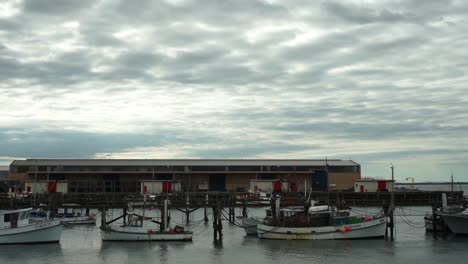 marina with boats in bluff, new zealand