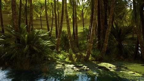 lush tropical forest with palm trees and serene water in bright sunlight