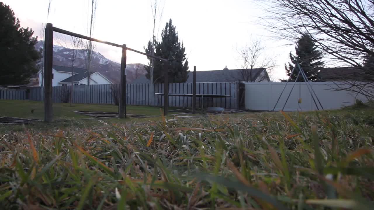 fuertes vientos soplando mientras se observa el fuerte viento que sopla la hierba