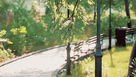 stone path through a peaceful green park