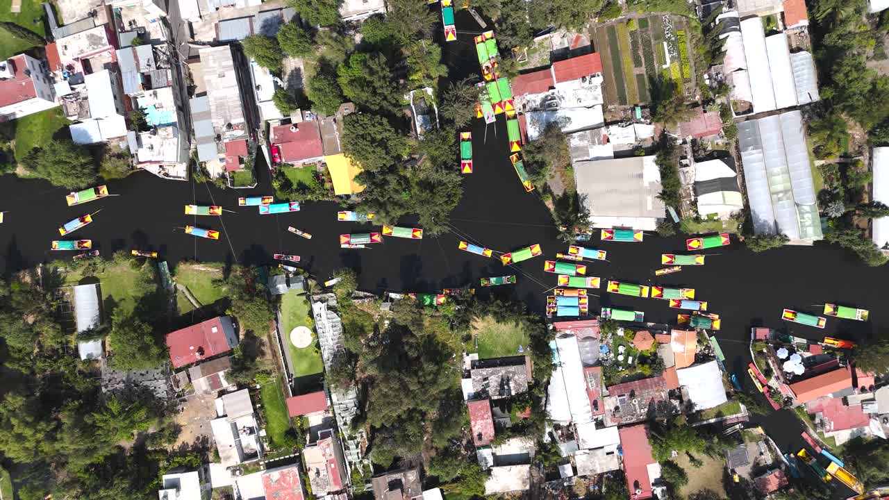 el tiempo se ralentiza en xochimilco, las trajineras navegan serenamente a través de los vibrantes canales, cdmx