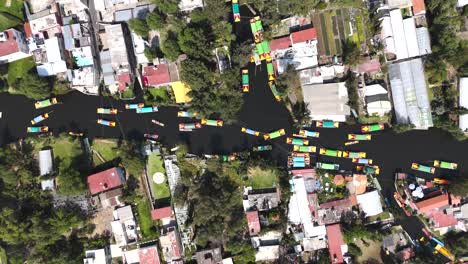 time slows down in xochimilco, trajineras sail serenely through the vibrant canals, cdmx