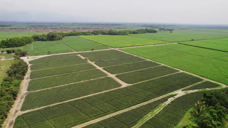 Aerial-view-of-well-maintained-fields-with-tractors-passing-and-tending-to-the-land