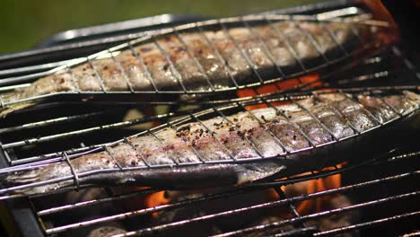 tasty whole fishes placed on barbecue grill