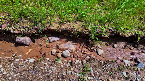 vista de una corriente de agua delgada y seca con piedras y guijarros que quedan