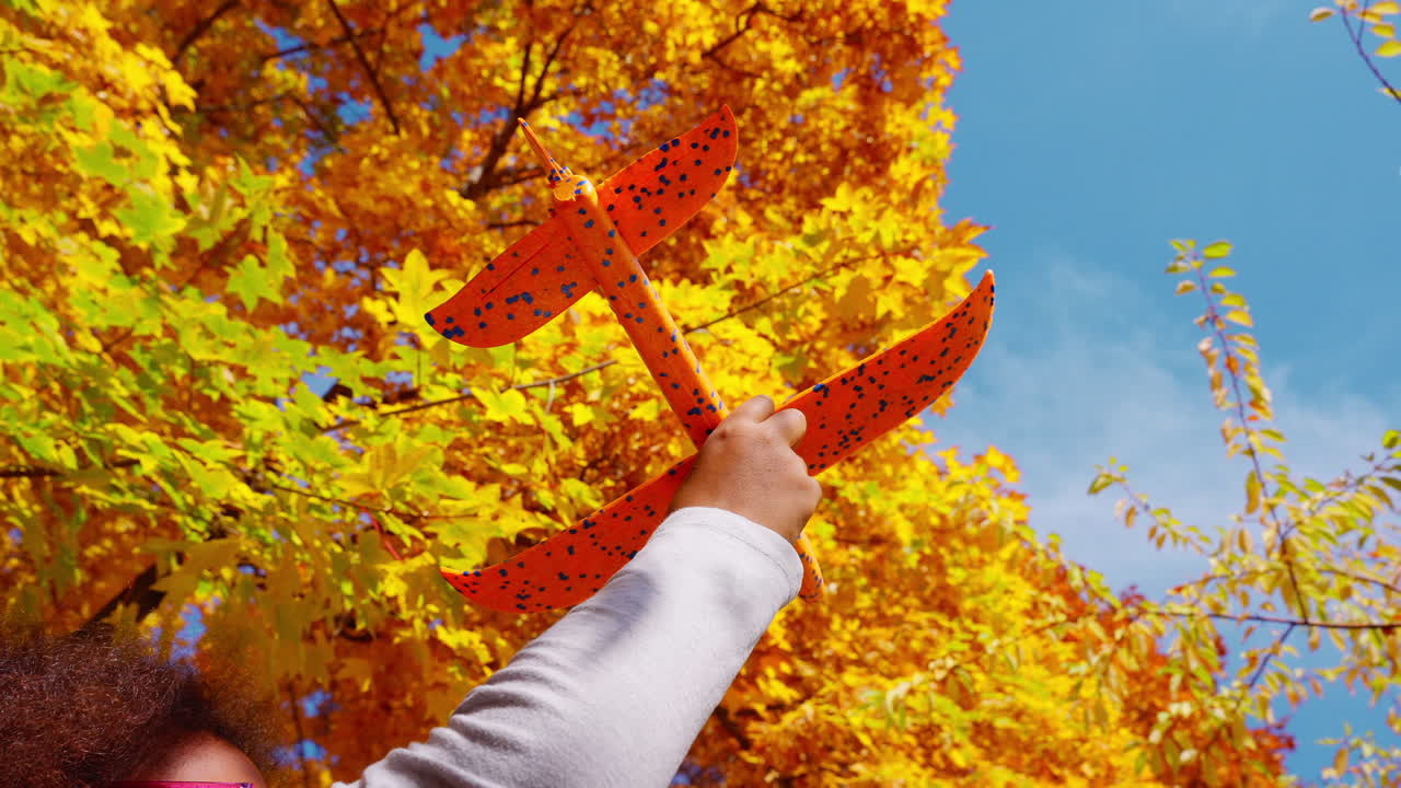 Child's Hand Holding Toy Airplane Against Autumn Leaves and Blue Sky