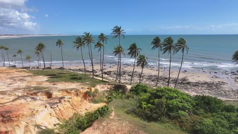 lagoinha beach at paraipaba in ceara brazil. beach skyline. nature landscape. summer travel. lagoinha beach at paraipaba in ceara brazil. tropical scenery