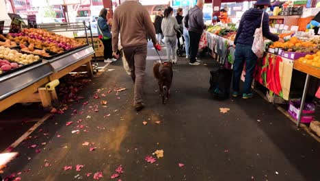 people walking dog through busy market stalls