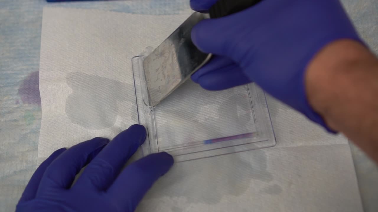 Scientist prepares prepares western blot cassette during an experiment late at night