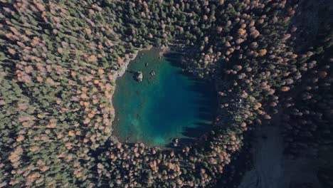 drone view top down view of a colorful autumn forest with mountain lake