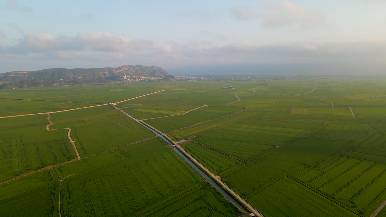 Aerial View of Rice Fields and Irrigation Canals