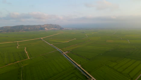aerial view of rice fields and irrigation canals