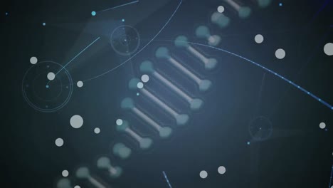 Animation-Des-DNA-Strangs,-Der-Sich-Mit-Einem-Netzwerk-Von-Verbindungen-Dreht