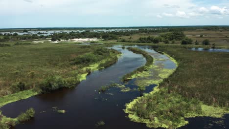 florida wetland seen from above with incredible patterns