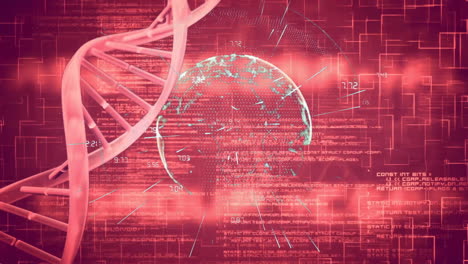animation of dna strand and digital brain processing data on red background
