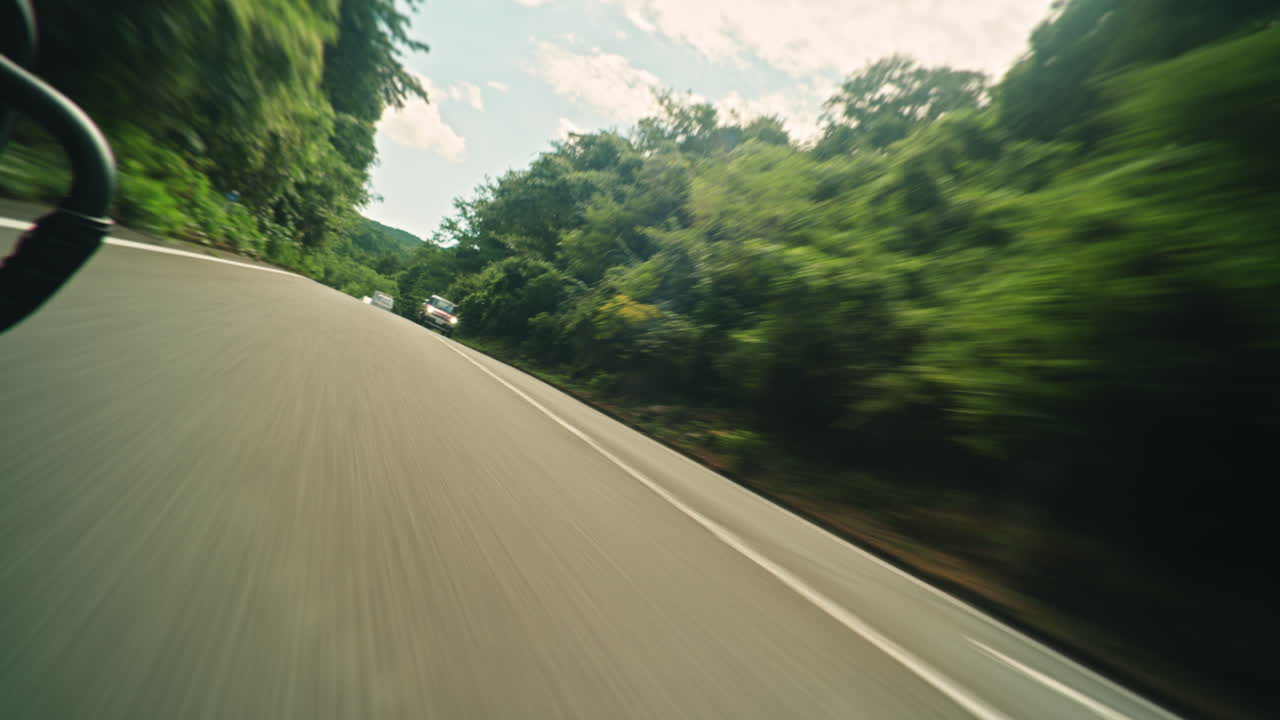 Driving on a Road Through a Forest