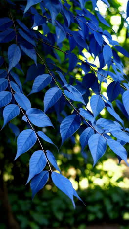 vibrant blue leaves on a branch