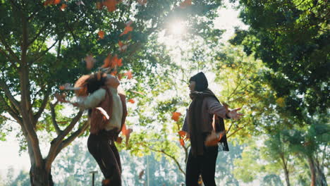 friends, women and autumn leaves outdoor in a park