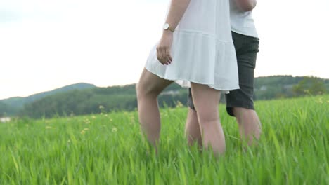 Loving-Couple-Walking-on-the-Grass-in-Stunning-Scenery