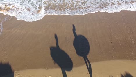 medium shot of shadows on the beach of two surfers carrying their surfboards on a sunny day