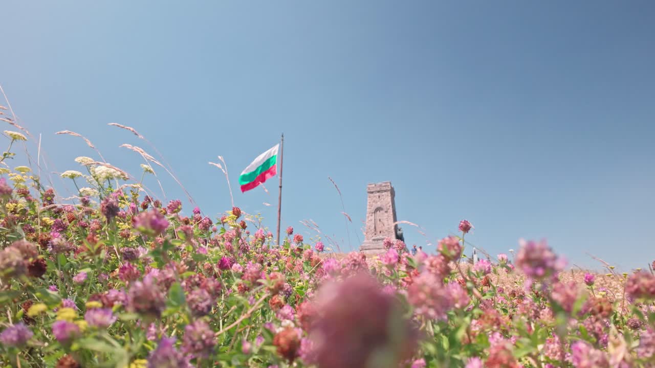 Bulgarian flag waving over a field of flowers