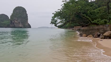 escena de playa tropical con vegetación exuberante