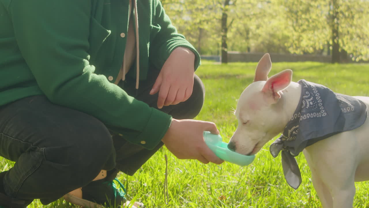 Man Giving Water to Staffordshire Terrier Dog on Walk