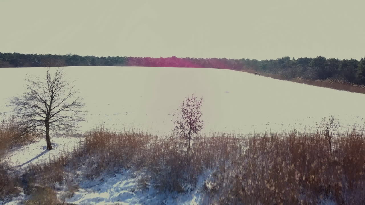 Aerial drone shot of flying over the woman that is walking on the snowy road or landscape