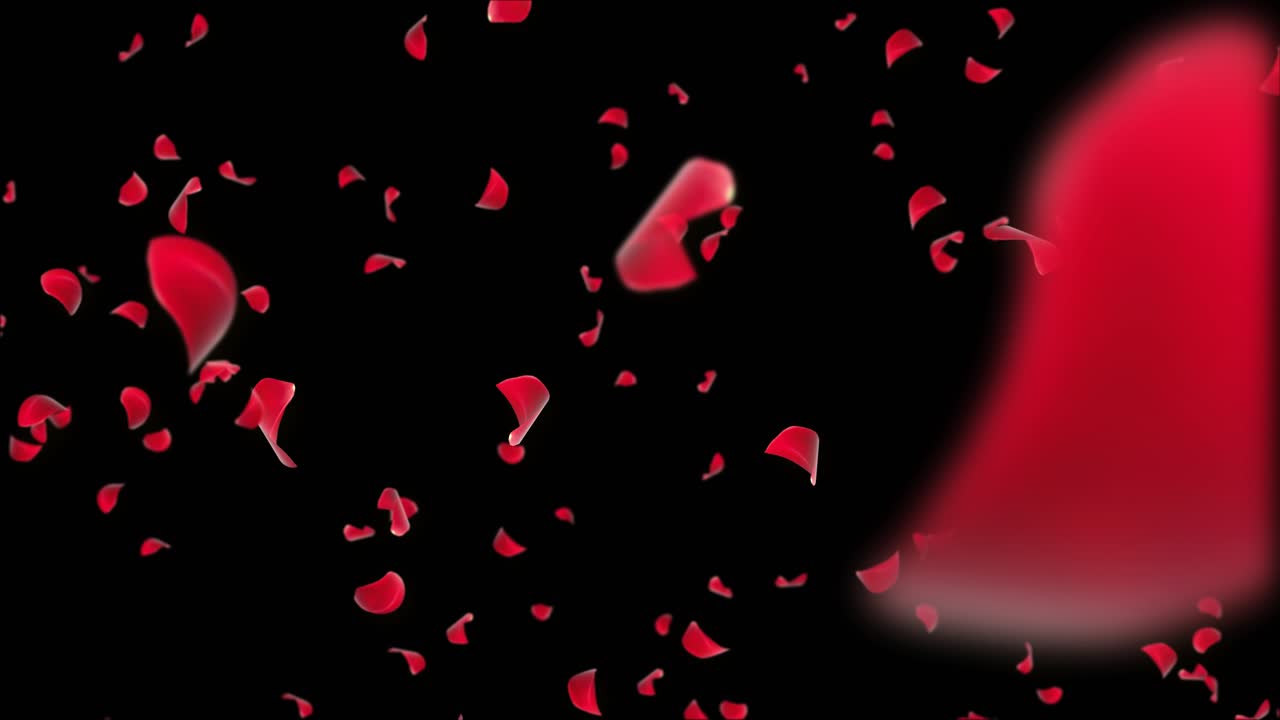 떨어지는 장미 잎자루