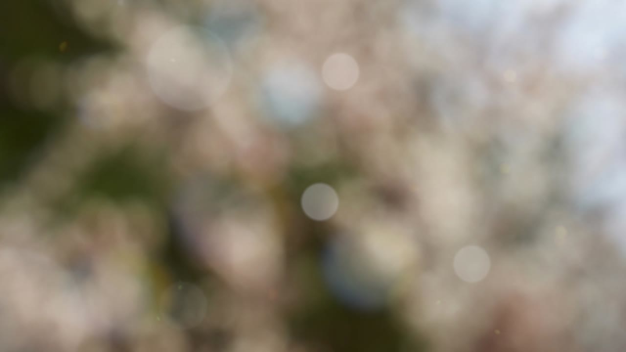 Fondo abstracto de otoño con bokeh