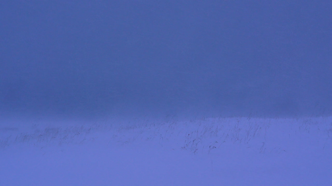 눈 덮인 땅을 강타하는 공격적인 돌풍의 안정적인 샷