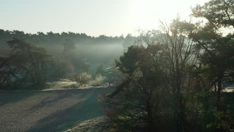 Gente-Caminando-En-La-Reserva-Natural-De-Soester-Duinen-En-Un-Día-Soleado-En-Países-Bajos