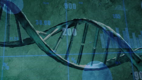 DNA-strand-and-scientific-data-analysis-animation-over-green-background