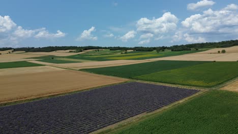 levante de amor y sentimientos en el campo