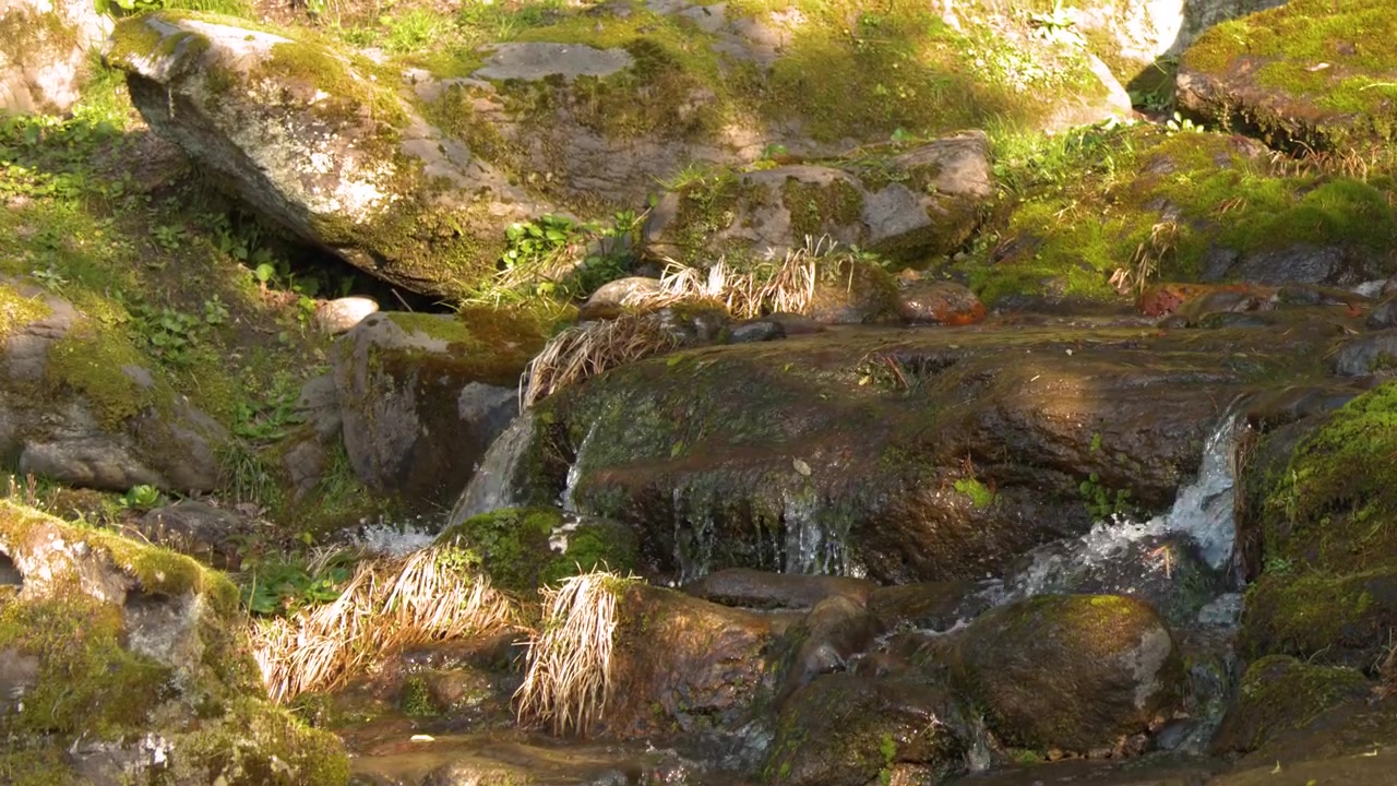 Eine statische Weitwinkelaufnahme zeigt Wasser, das über moosbewachsene Steine in einem friedlichen Garten fließt.