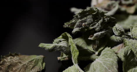 hojas de menta seca girando sobre fondo negro 4