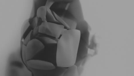 broken mannequin head shells in xray