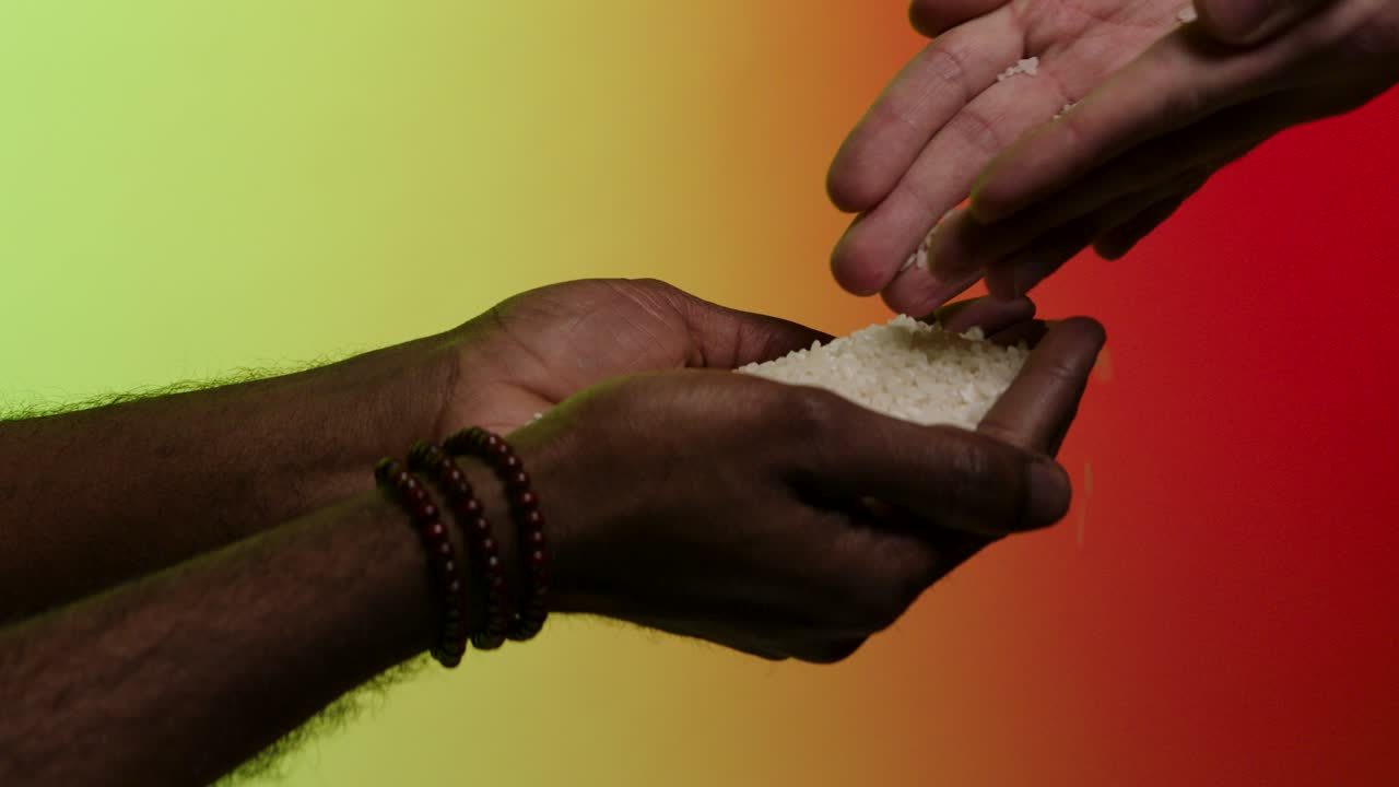 compartición de arroz