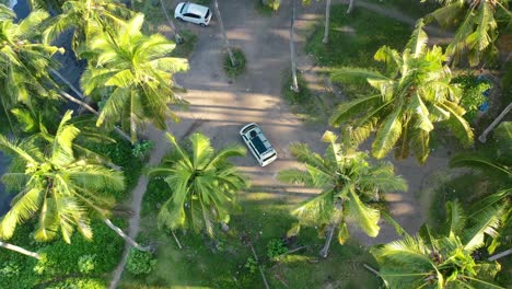 Luftaufnahme-Eines-Weißen-Wohnmobils,-Das-Während-Des-Sonnenuntergangs-Am-Strand-Von-Jasri-Auf-Bali-Mitten-In-Einem-Kokospalmenfeld-Geparkt-Ist