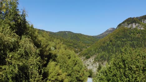 lush vegetation of forest on beautiful landscape in dardha mountain village in albania