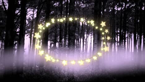Yellow-glowing-star-shaped-fairy-lights-against-multiple-trees-in-the-forest