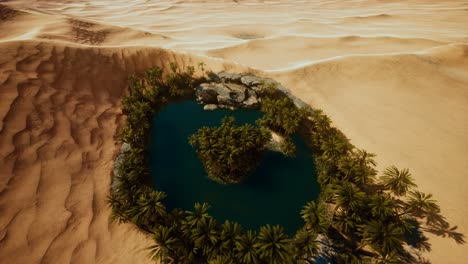 top-down-aerial-view-of-oasis-in-desert